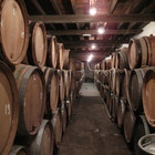 Brasserie-Brouwerij Cantillon