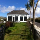 Dingle Brewing Company
