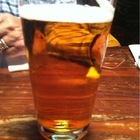 Pliny the Elder