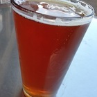 Phat Matt's IPA