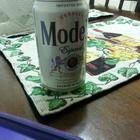 Modelo Especial