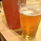 2xIPA